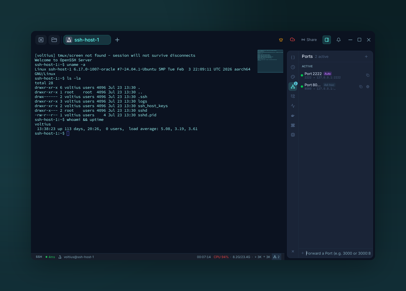 The Ports panel listing active port forwards in a live SSH session