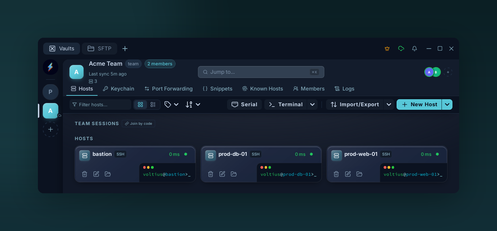 A team vault selected in the sidebar, showing its shared hosts and the two team members