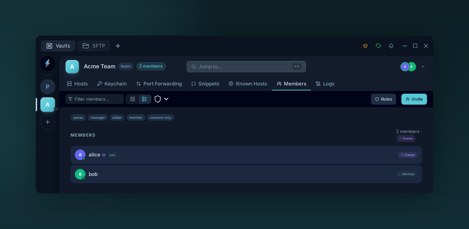 The Members tab of a team vault: the owner and one member, each with a role badge