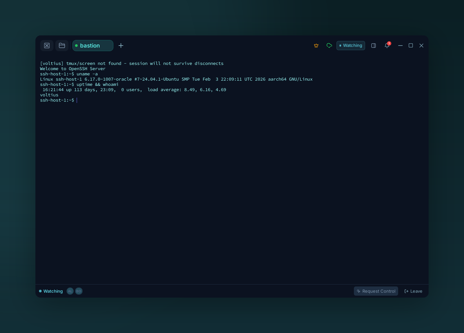 A guest watching a shared terminal in real time, with Request Control and Leave in the multiplayer bar